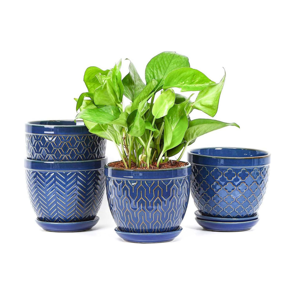 Sureasy Ceramic Indoor Plant Pots - 5.6 Inch Flower Pots for Plants with Drainage Hole and Saucer, Embossed Planter for