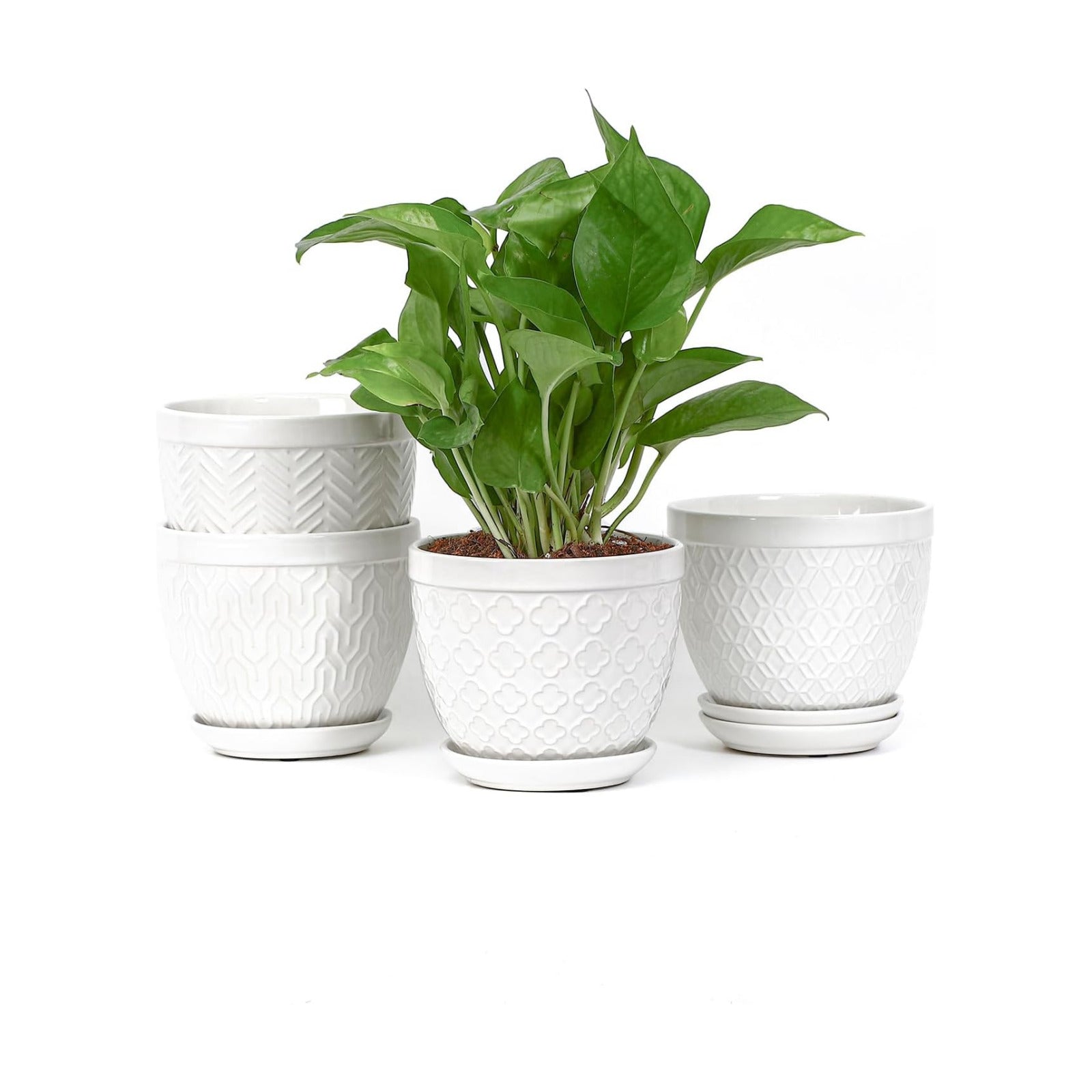 Sureasy Ceramic Indoor Plant Pots - 5.6 Inch Flower Pots for Plants with Drainage Hole and Saucer, Embossed Planter for