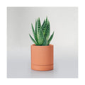 HERDUK Small Modern Terracotta Pots, 4.2 Inch Ribbed Textured Clay Planter Pots with Drainage Hole & Saucer, Garden