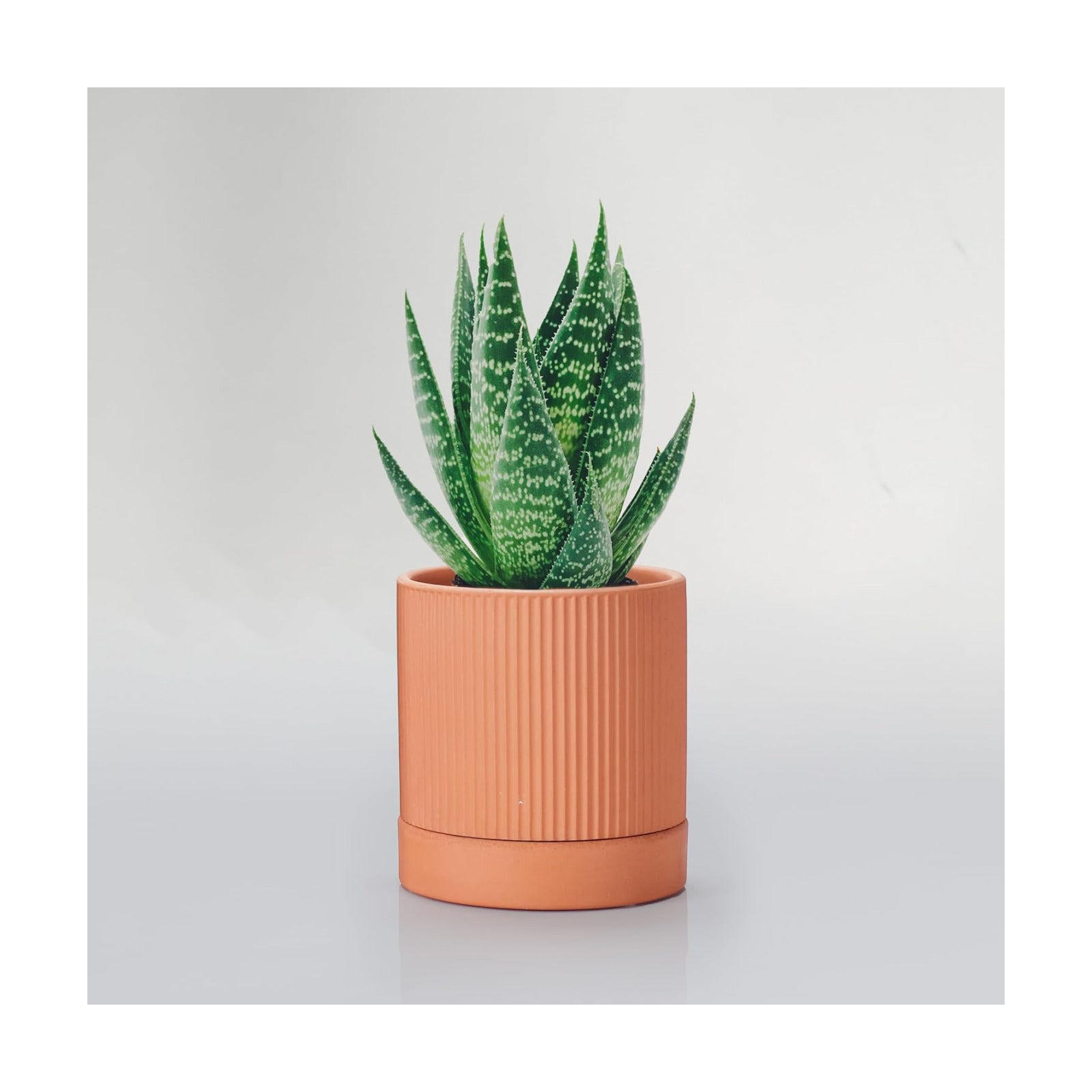 HERDUK Small Modern Terracotta Pots, 4.2 Inch Ribbed Textured Clay Planter Pots with Drainage Hole & Saucer, Garden