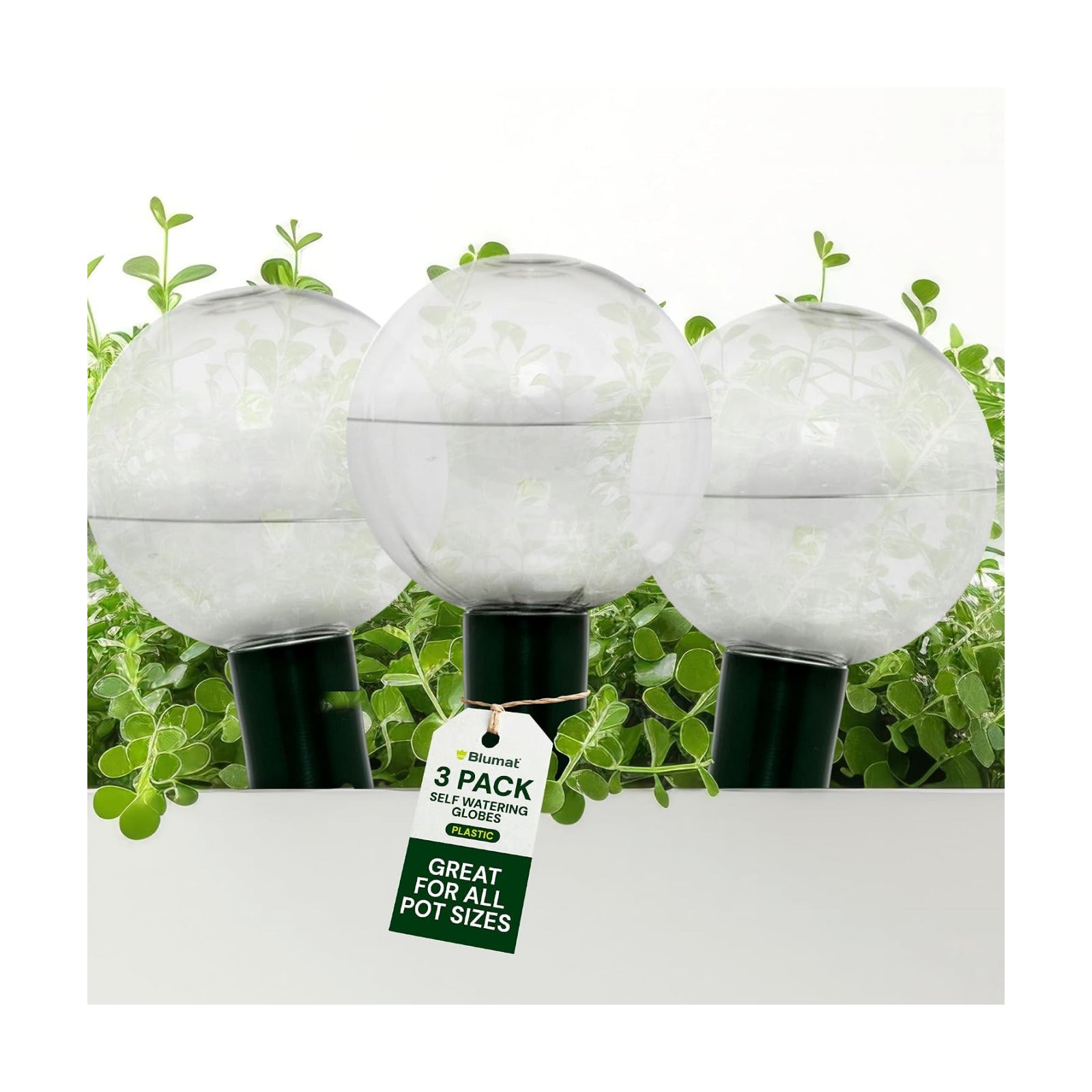 Blumat Clear Globe 3-Pack