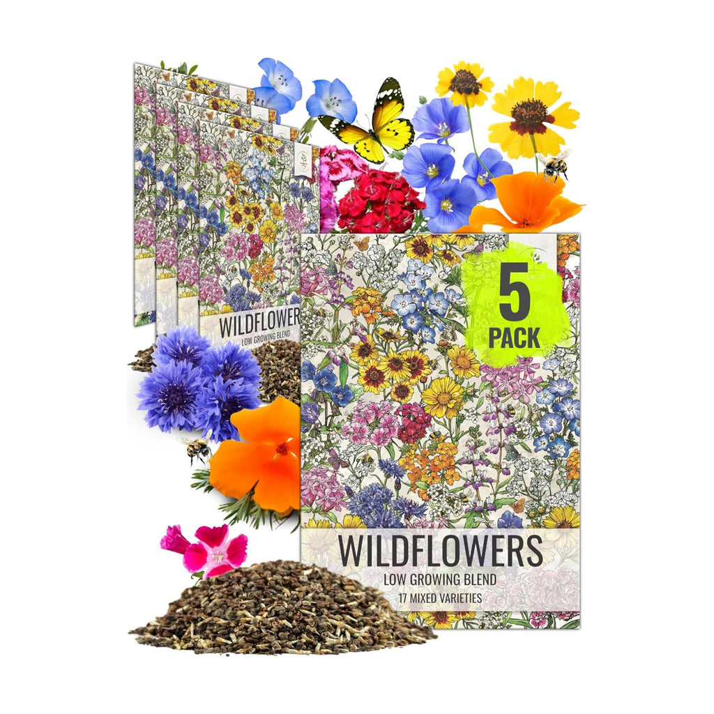 Seed Needs Low Growing Wildflower Seed Mix 5 Bulk Packs (1 Ounce Each)