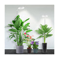 6000K Grow Light with Gooseneck, for Large Plants, 2Pack | Full Spectrum Plant Lights for Indoor Plants, 3 Colors