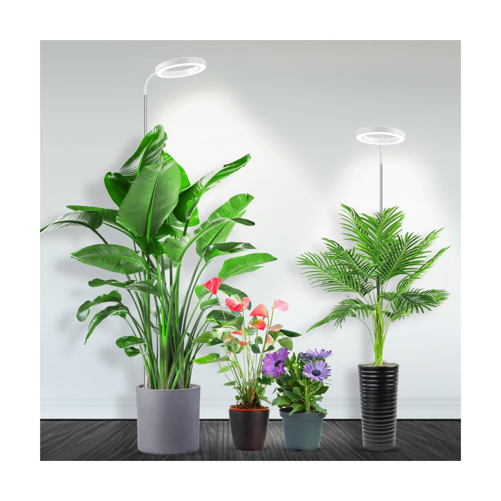 6000K Grow Light with Gooseneck, for Large Plants, 2Pack | Full Spectrum Plant Lights for Indoor Plants, 3 Colors