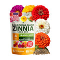 HOME GROWN Zinnia Seeds for 2026 - California Giant Mix - 14,600+ (4 oz) Plant Wildflower Blooms Bulk Seeds for
