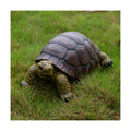 Garden Turtle Statue, Large Resin Tortoise Sculpture, 13L x 8.6W x 5.5H inches, Outdoor Yard Lawn Ornament,Home Decor