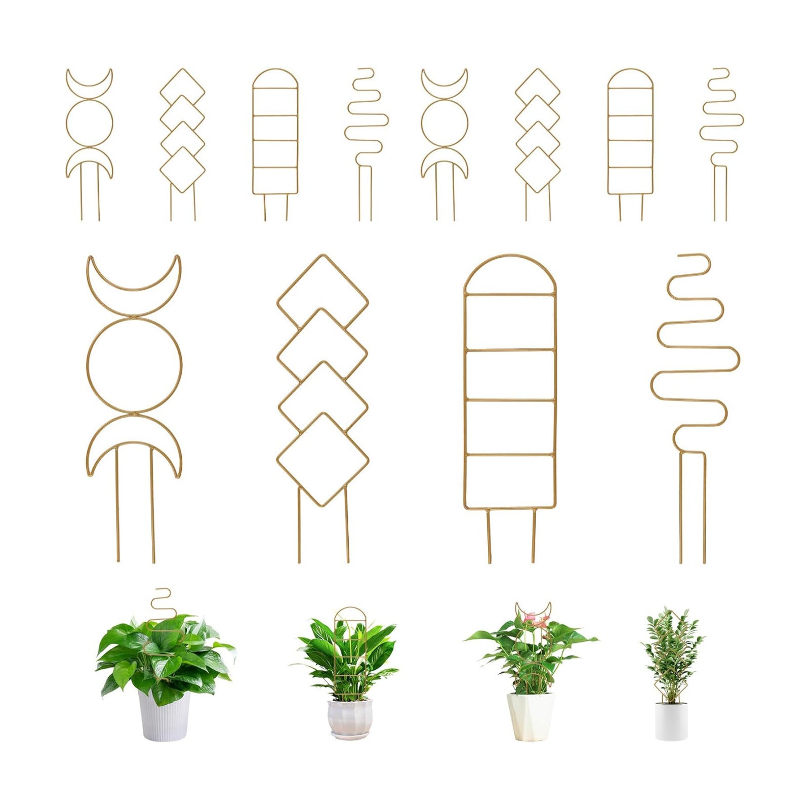 12 Pack Gold Plant Trellis for Potted Plant Indoor, Small Metal Trellis with 4 Different Patterns, Climbing Plant