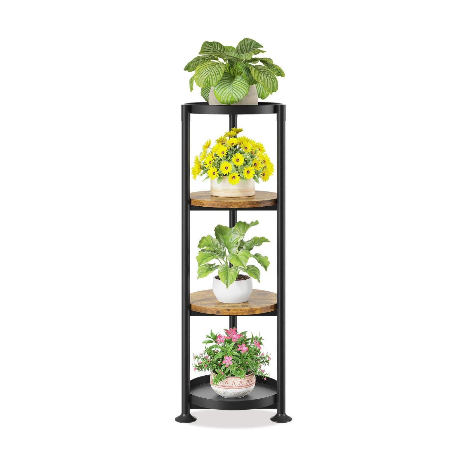 LASZOLA Plant Stand Tall Flower Holder for Indoor Corner, 4 Tier Black | Heavy Duty Metal Vertical Multi Level Shelf