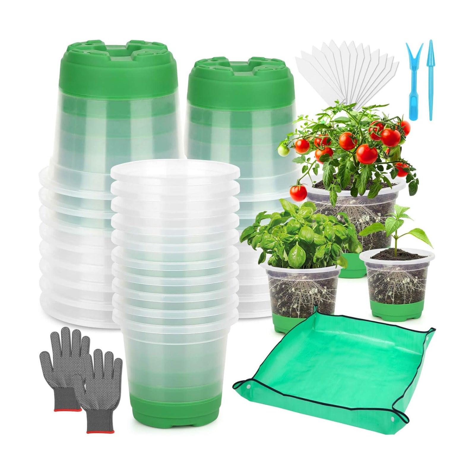 Caffox 51PCS Reusable Seed Starter Kit Includes 26 Packs 3 Sizes Clear Nursery Pots with Silicone Base, Repotting Mat