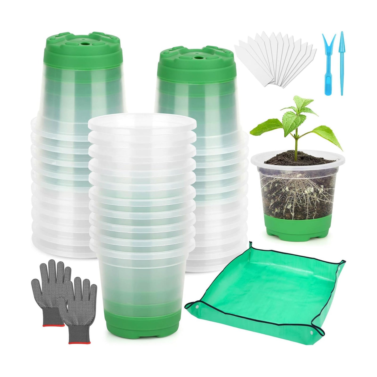 Caffox 55PCS Reusable Seed Starter Kit Includes 30 Packs 3.5" Clear Nursery Pots with Silicone Base, Repotting Mat