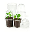 JOPY 4 Inch Plastic Nursery Pots with Humidity Dome for Plants 20 Pack Clear Seedlings Planting Pots for Garden Indoor and Outdoor Small Planter Containers with Drainage Holes