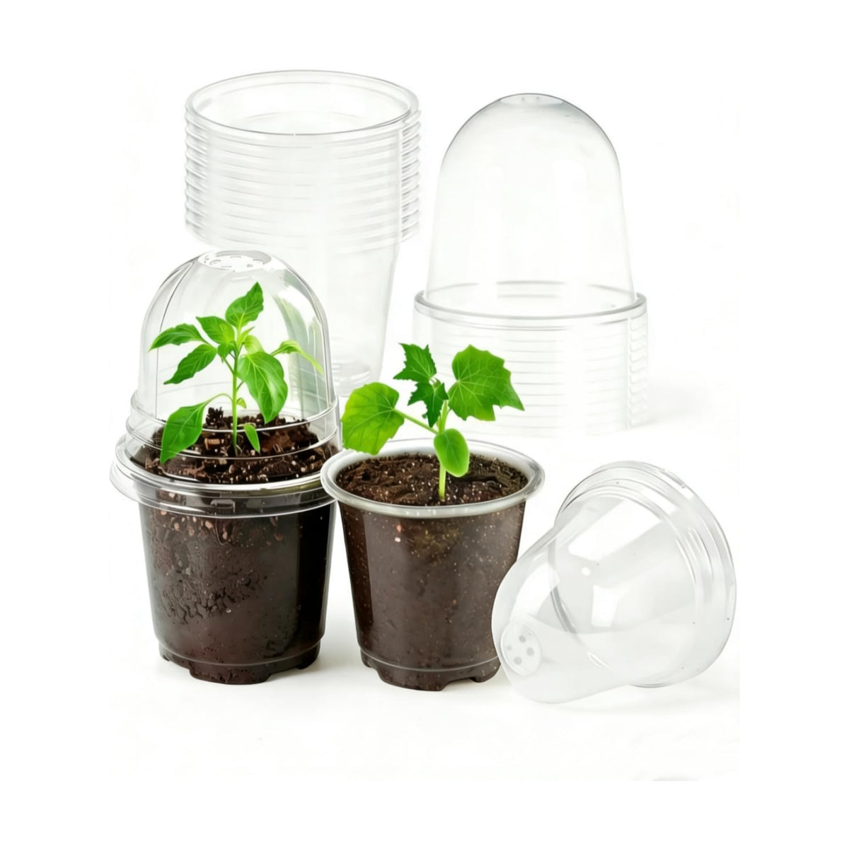 JOPY 4 Inch Plastic Nursery Pots with Humidity Dome for Plants 20 Pack Clear Seedlings Planting Pots for Garden Indoor and Outdoor Small Planter Containers with Drainage Holes