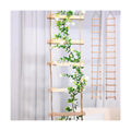 2pcs Plant Ladder Indoor Climb Plants Hanging Wooden Trellis Vine Support | Chain Trellis for Potted Plants Easy