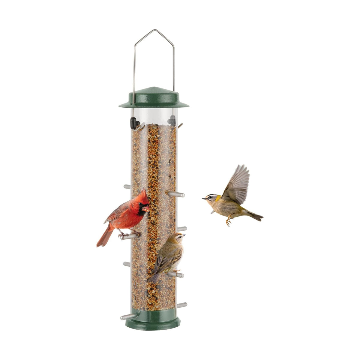 MIXXIDEA Finch Bird Feeder Hanging Metal Thistle Seed Feeder