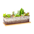 Succulent Pots, 12'' Long Rectangle Planters with Tray, Windowsill Planter