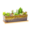 Succulent Pots, 12'' Long Rectangle Planters with Tray, Windowsill Planter