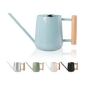 Watering Can Indoor Plants, 30oz/900ml Small Plant Watering Can with Long Spout, Stainless Steel Garden Watering Cans