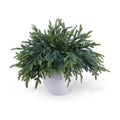12 Pcs Pine Branches - Real Touch Artificial Pine Stems
