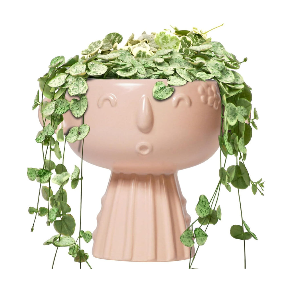 Face Flower Pots - 7 Inch Ceramic Pots for Plants Indoor Outdoor, Decorative Head Planter, Small Cute Succulent