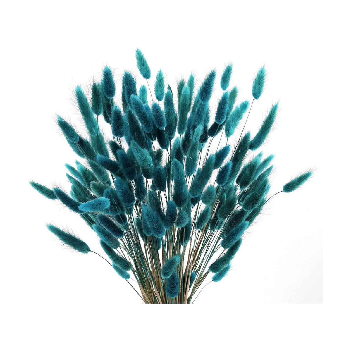 120pcs Bunny Tails Dried Flowers Pampas Grass Bouquet, Teal, 17 inch