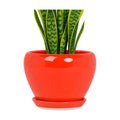 Deep Dream 8 Inch Plant Pots- Ceramic Pots for Plants with Drainage Hole and Saucer, Large Planter Pot for Indoor Plants Outdoor Decor, Red