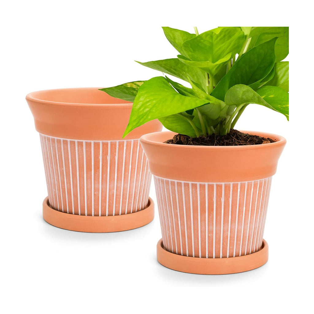 Cedilis 2 Pack Terracotta Pots, 6 inch Red Clay Pots with Drainage and Saucers, Terra Cotta Planter for Garden Cactus