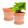 Cedilis 2 Pack Terracotta Pots, 6 inch Red Clay Pots with Drainage and Saucers, Terra Cotta Planter for Garden Cactus