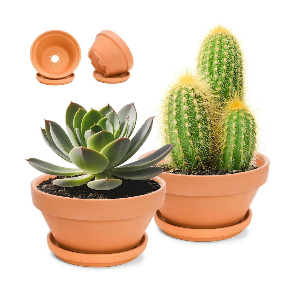 2 Pack 8 Inch Shallow Succulent Terracotta Pots with Drainage Hole and Saucer, Clay Plant Pots for Indoor and Outdoor