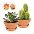 2 Pack 8 Inch Shallow Succulent Terracotta Pots with Drainage Hole and Saucer, Clay Plant Pots for Indoor and Outdoor