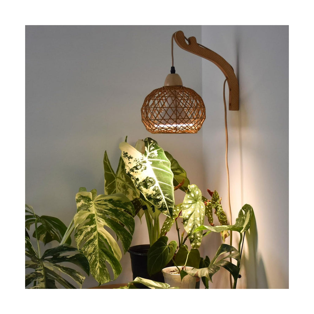 Hanging Grow Lights for Indoor Plants,3800K | 18W Wall-Mounted Decorative Grow Light with Boho Rattan Lantern Shade