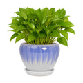 Deep Dream 6 Inch Plant Pots- Ceramic Planter Pot with Drainage Hole and Saucer, Round Flower Pot for Indoor Outdoor