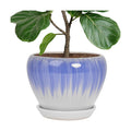 Deep Dream 10 Inch Plant Pot- Ceramic Planter Pot Round Plant Pots for Indoor Plants Outdoor Large Flower Pot with Drainage Holes & Trays, White&Blue