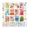 300 Pcs Real Dried Pressed Flowers & Butterfly Stickers for Resin Crafts
