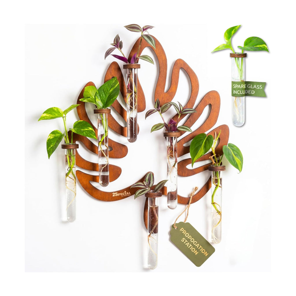 Leaf-Shaped Plant Hanging Propagation Stations with 6 Glass Vases & 1 Spare | Terrarium for Plants w/ Strengthened