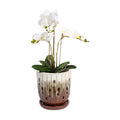 vensovo 6 Inch Ceramic Orchid Pot with Holes and Saucer, Brown Planter