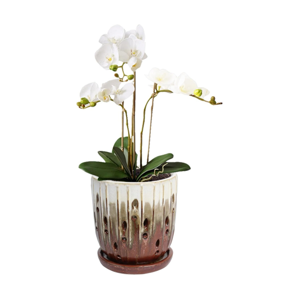 vensovo 6 Inch Ceramic Orchid Pot with Holes and Saucer, Brown Planter