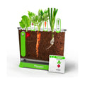 Discovery™ Edible Veggie Garden Watch-It-Grow Kit – DIY STEM Activity for Kids | Grow Carrots, Radishes & Onions