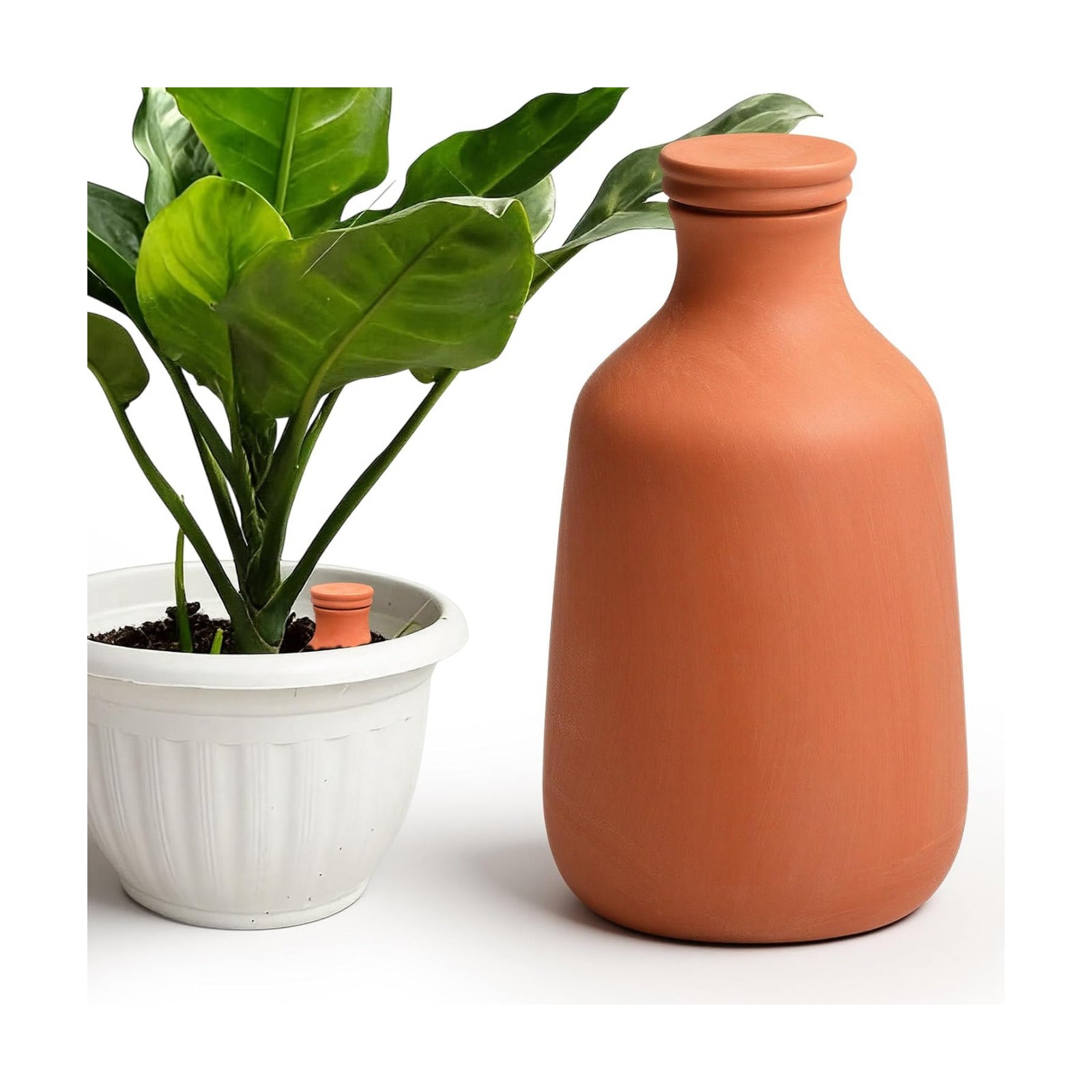 DoubleFill 1 Pcs 50 oz Ollas Terracotta Watering Pots Self Watering Planter Insert Terracotta Globes Clay for Outdoor