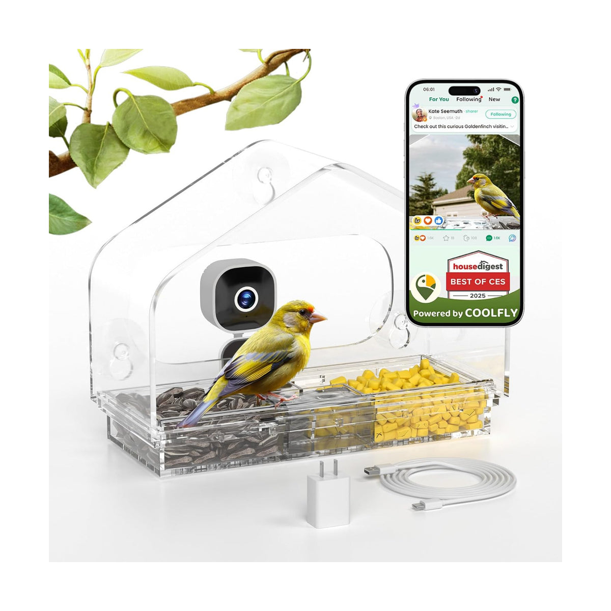 Window Bird Feeder with Strong Suction Cups and Smart Bird Camera