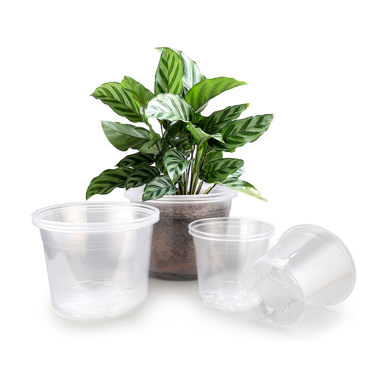 7/8/10 Inch Large Clear Nursery Pots with Drainage, 9 Pack Plastic Pots for Plants, Clear Plant Seedling Pots for