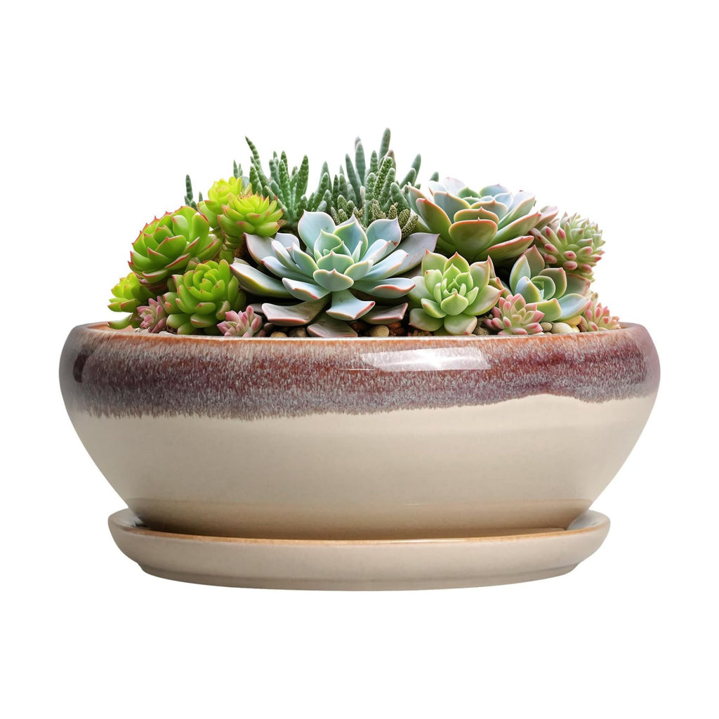 SQOWL Succulent Pots 8 Inch - Ceramic Bonsai Pots for Indoor Plants, Round Shallow Plant Pot with Drainage Hole and