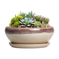 SQOWL Succulent Pots 8 Inch - Ceramic Bonsai Pots for Indoor Plants, Round Shallow Plant Pot with Drainage Hole and