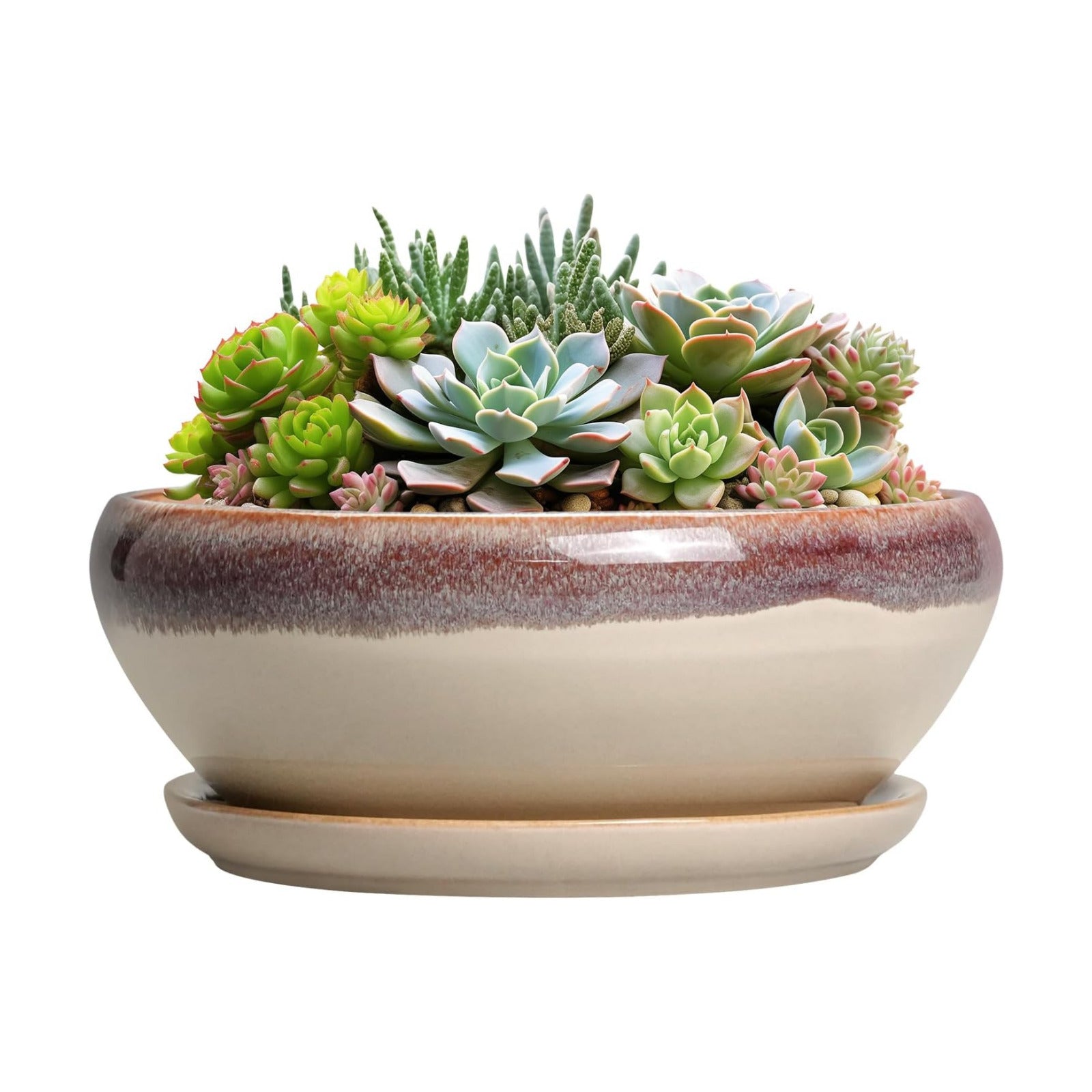 SQOWL Succulent Pots 8 Inch - Ceramic Bonsai Pots for Indoor Plants, Round Shallow Plant Pot with Drainage Hole and
