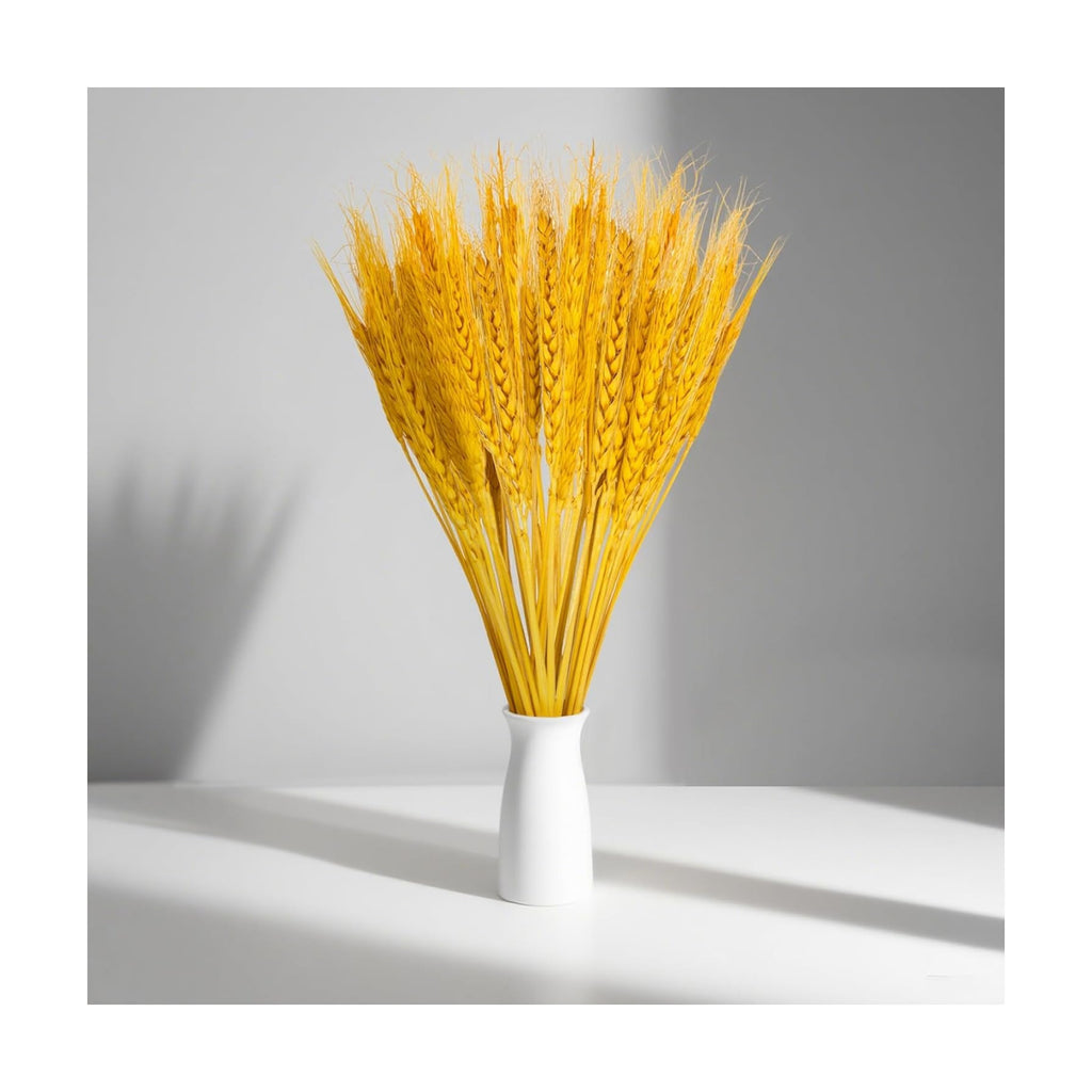 Sukh 50 Stems Dried Wheat Stalks - Golden Wheat Straw for Vases 13.3 in