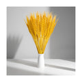Sukh 50 Stems Dried Wheat Stalks - Golden Wheat Straw for Vases 13.3 in