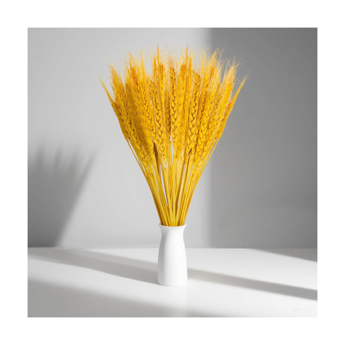 Sukh 50 Stems Dried Wheat Stalks - Golden Wheat Straw for Vases 13.3 in