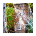 Halloween Spider Web Decoration, Cobwebs Halloween Decorations,Cobwebs Come With 20pcs Mini Spiders (500sqft+20Spiders)
