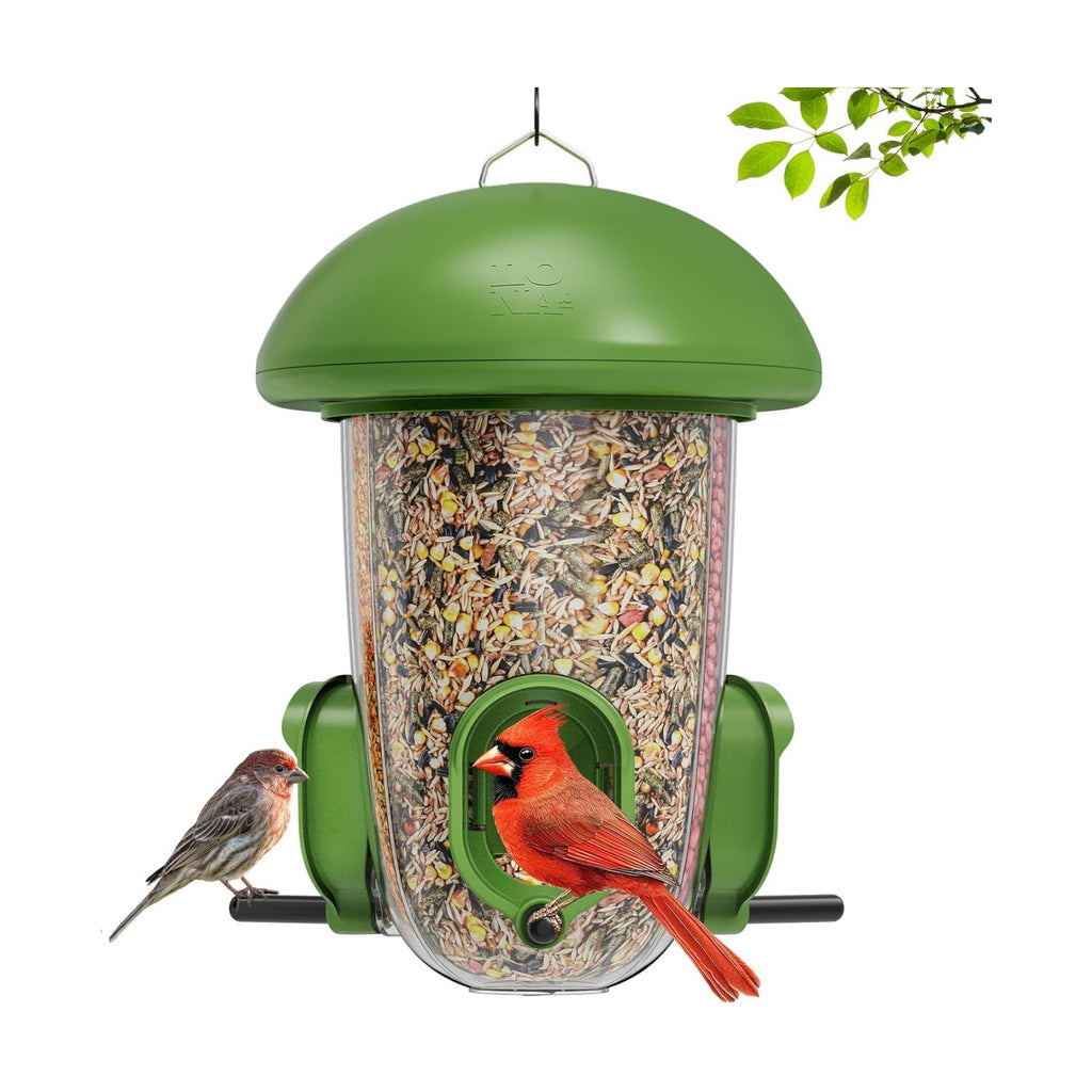 LONA Bird Feeder with 3 Compartments, Dome Bird Feeder for Outdoors, Plus