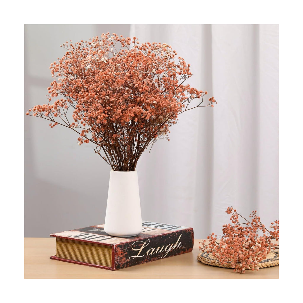3200+ Babys Breath Dried Flowers Bouquet, 17" Brown for Fall Vase Decor