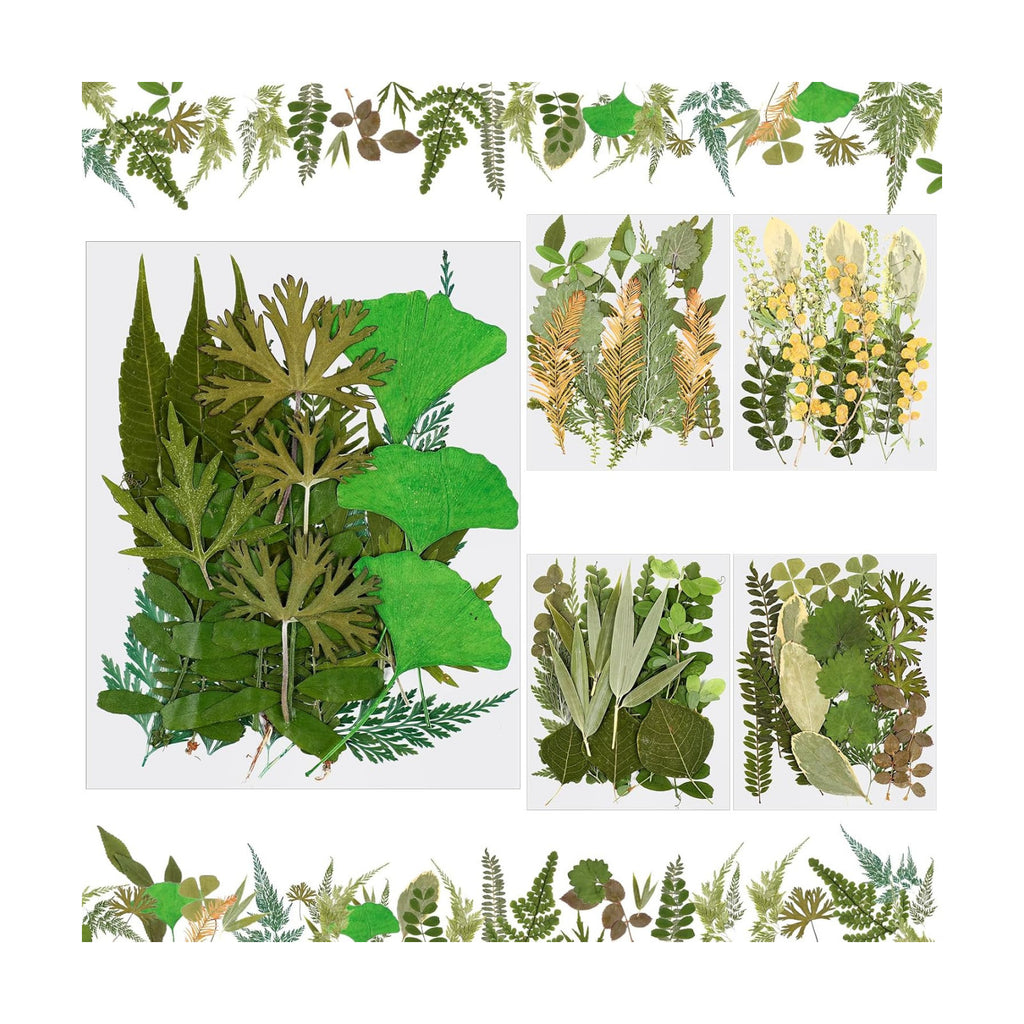 Nuanchu 99 Pieces Bulk Assorted Pressed Leaves for Crafts, 5 Pack, Stylish